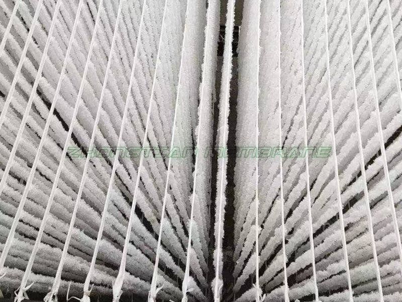 辨式生物填料现场（一）